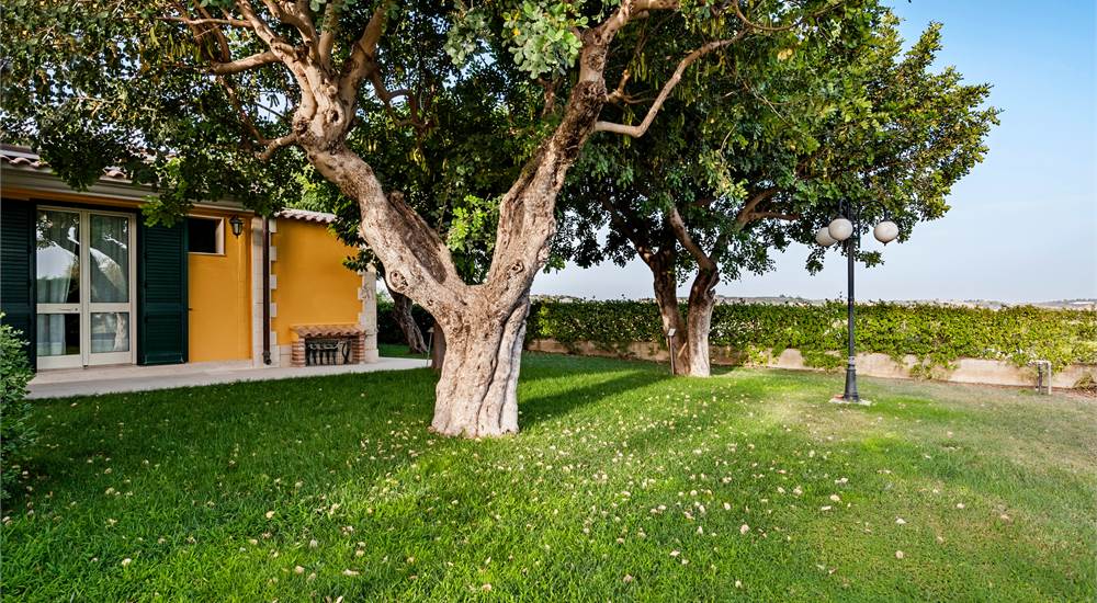 garden view