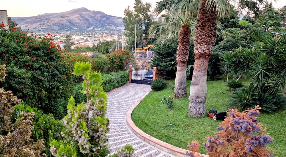 VIALE DI INGRESSO E GIARDINO