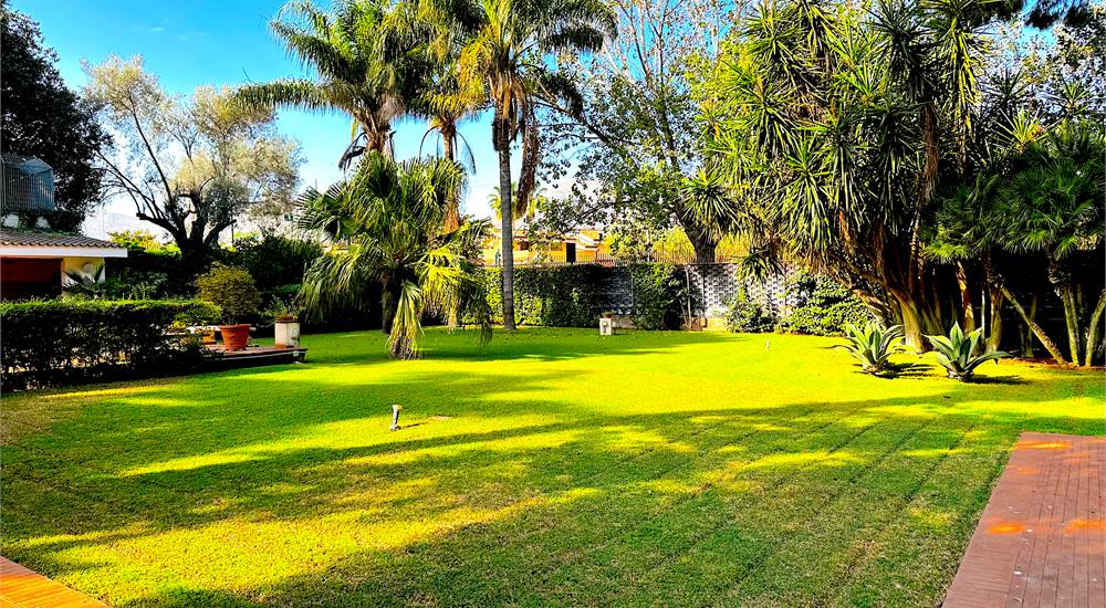 front yard garden