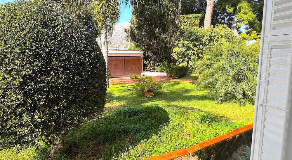 side yard view
