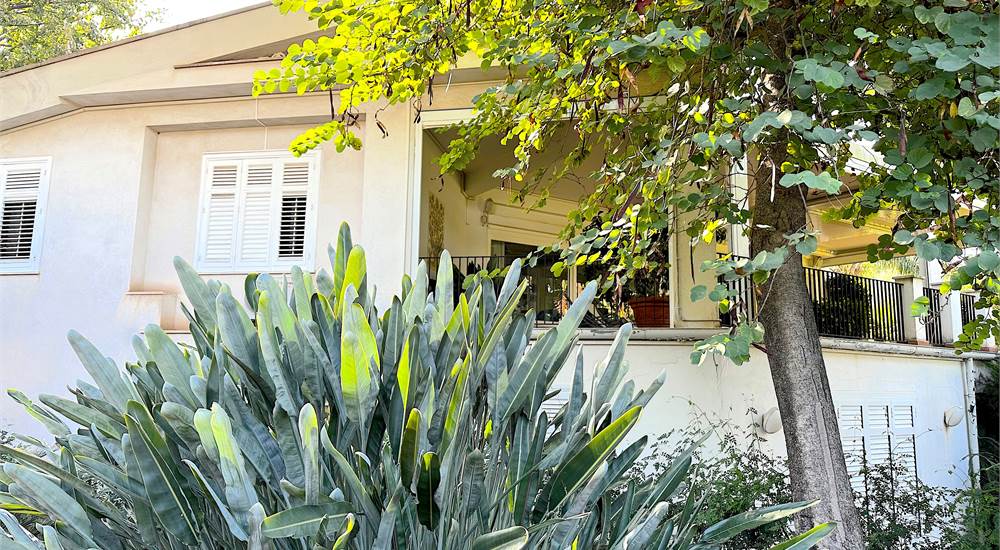 side yard view 