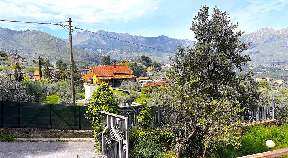 DRIVEWAY AND PANORAMA